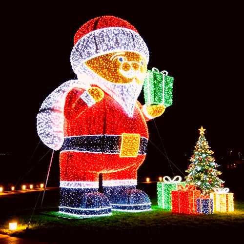 <strong>3D Wireframe Santa M</strong>